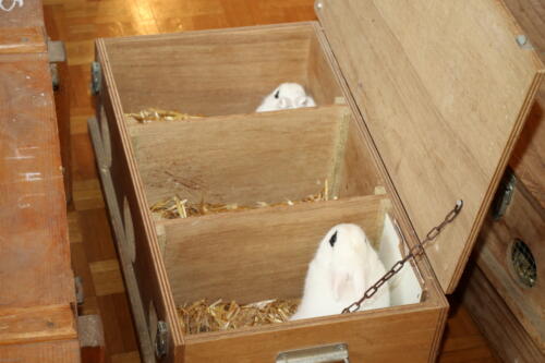 2018 11 beurteilung alchenflueh05