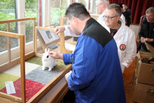 2018 11 beurteilung alchenflueh08