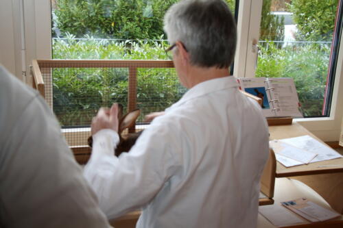 2018 11 beurteilung alchenflueh09