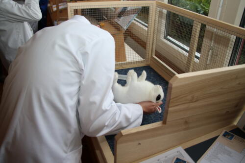 2018 11 beurteilung alchenflueh12