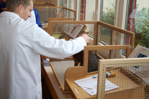 2018 11 beurteilung alchenflueh14