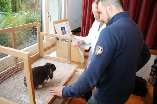 2018 11 beurteilung alchenflueh15