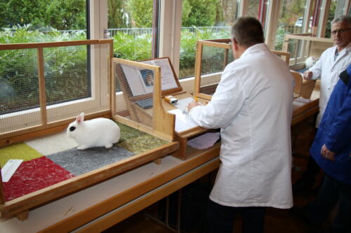 2018 11 beurteilung alchenflueh16