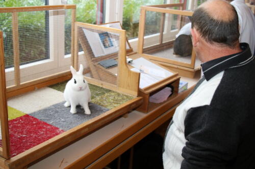 2018 11 beurteilung alchenflueh17