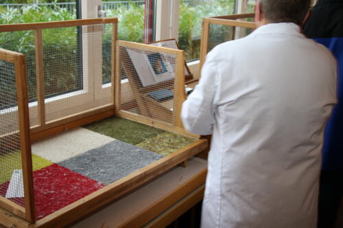 2018 11 beurteilung alchenflueh18