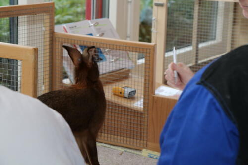 2018 11 beurteilung alchenflueh19