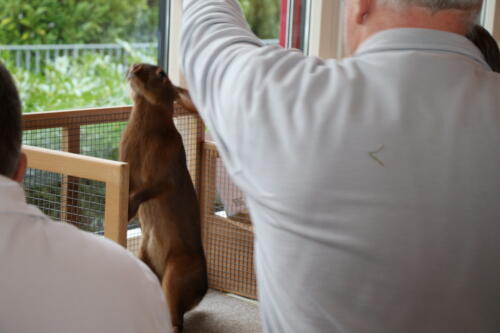 2018 11 beurteilung alchenflueh20