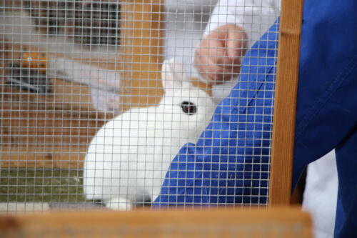 2018 11 beurteilung alchenflueh26