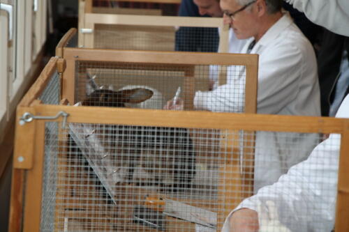 2018 11 beurteilung alchenflueh27