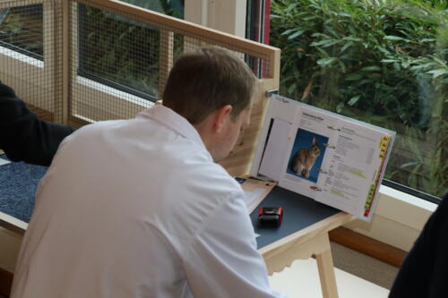 2018 11 beurteilung alchenflueh29