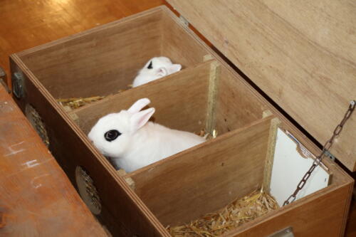 2018 11 beurteilung alchenflueh30