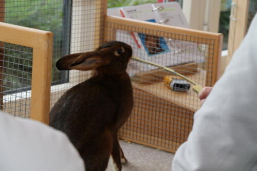 2018 11 beurteilung alchenflueh31