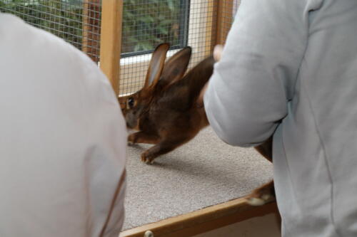 2018 11 beurteilung alchenflueh32