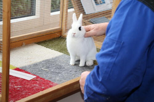 2018 11 beurteilung alchenflueh33