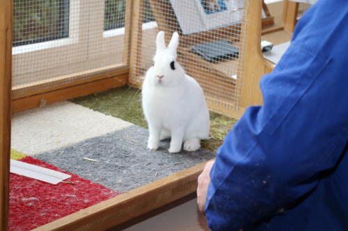 2018 11 beurteilung alchenflueh34