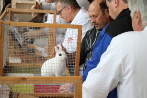 2018 11 beurteilung alchenflueh38