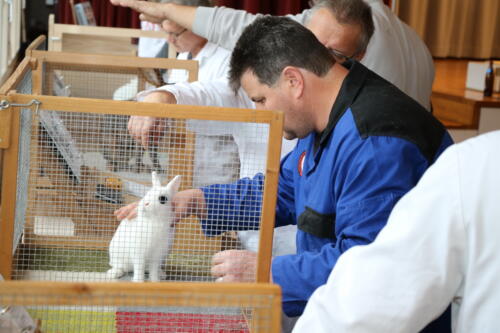 2018 11 beurteilung alchenflueh39