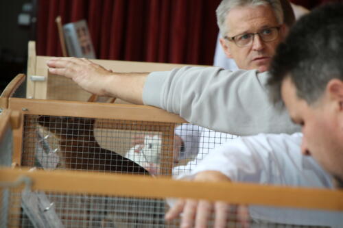 2018 11 beurteilung alchenflueh40