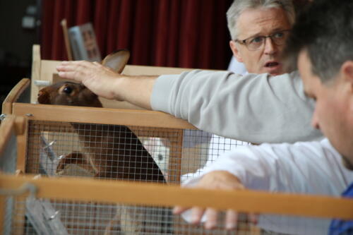 2018 11 beurteilung alchenflueh41