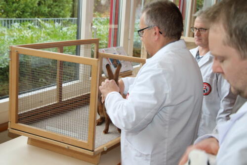 2018 11 beurteilung alchenflueh46