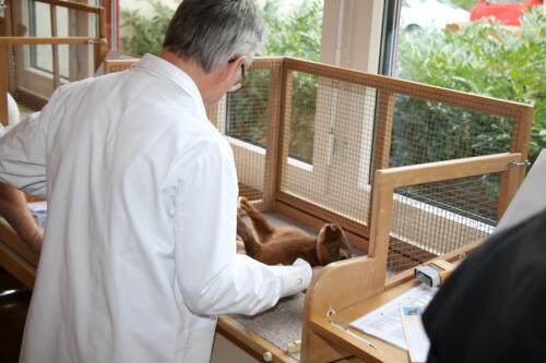 2018 11 beurteilung alchenflueh49