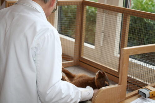 2018 11 beurteilung alchenflueh50