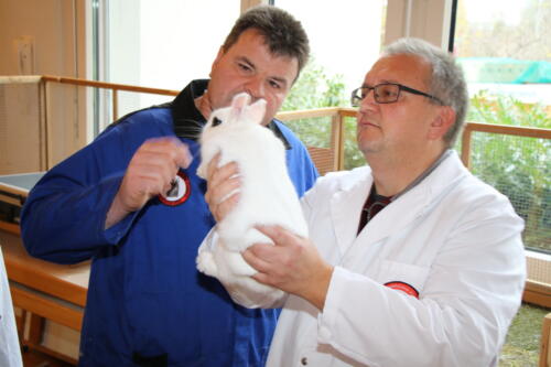 2018 11 beurteilung alchenflueh51