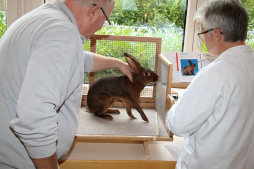 2018 11 beurteilung alchenflueh52