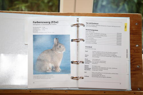 2018 11 beurteilung alchenflueh53