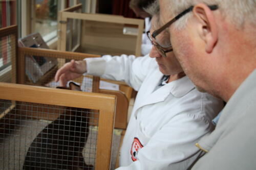 2018 11 beurteilung alchenflueh54