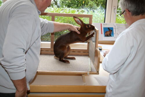 2018 11 beurteilung alchenflueh55