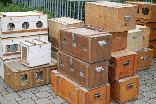 2018 11 beurteilung alchenflueh57