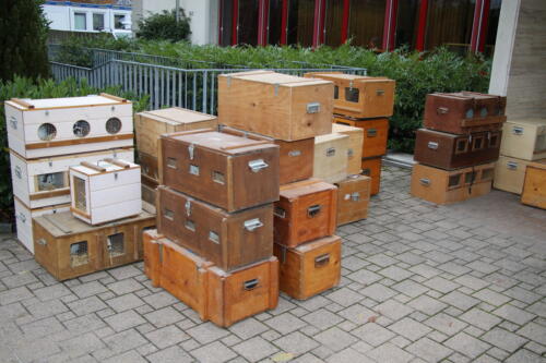 2018 11 beurteilung alchenflueh58