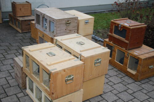 2018 11 beurteilung alchenflueh59